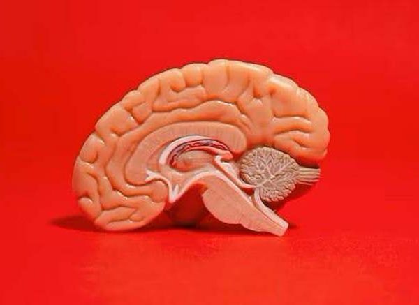 brain-benefits