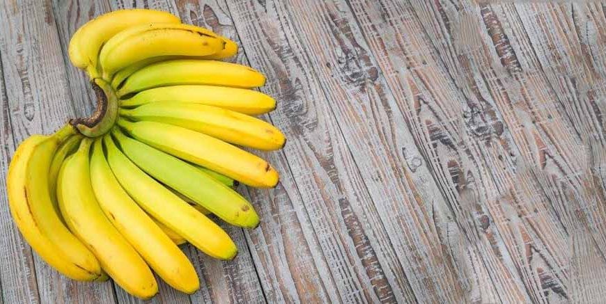 introducing-bananas-to-babies
