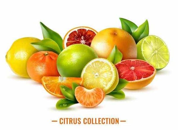 lemons-and-limes-for-kids