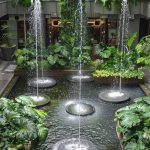 using-rainwater-in-an-indoor-garden