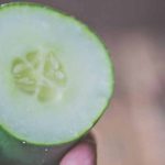 advantages-of-cucumber