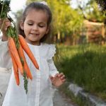 carrots-and-their-importance
