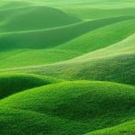 facts-about-grasslands