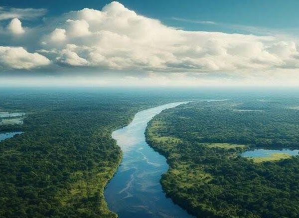 Interesting Facts about the Amazon River For Students