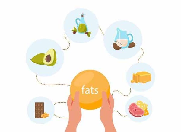 Healthy Fats for Little Ones: Why Is Butter a Toddler’s Friend?