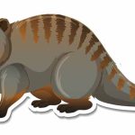 loyal-mongoose-story