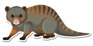 loyal-mongoose-story