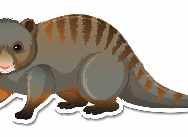 The Loyal Mongoose Story With Moral
