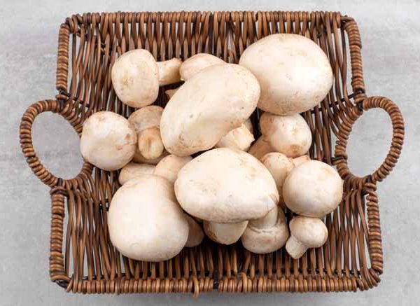 mushrooms-for-babies