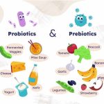 prebiotics-vs-probiotics