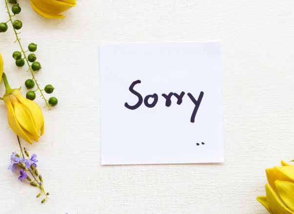 The Power of Sorry: When Parents should Apologize to Children