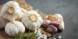 garlic-for-child-health