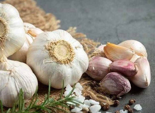 garlic-for-child-health