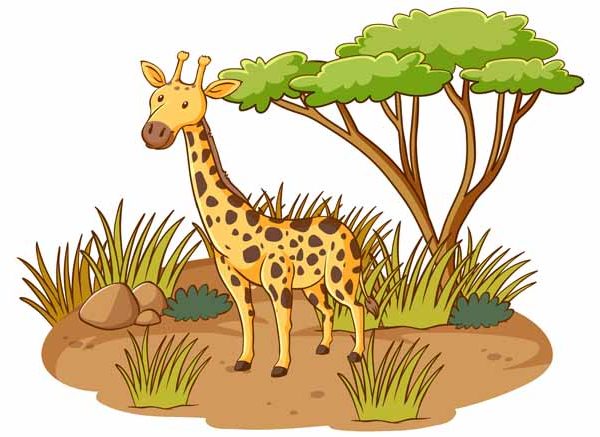 Fascinating Facts About Giraffe for Kids
