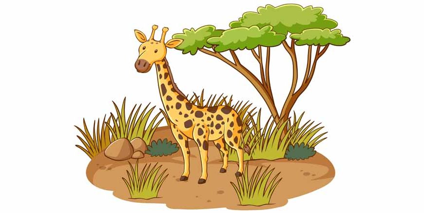 giraffe-facts