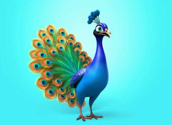 Wonderful Peacock Information for Kids