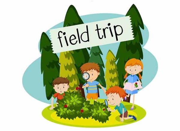 How To Help Your Child Prepare For A Field Trip?