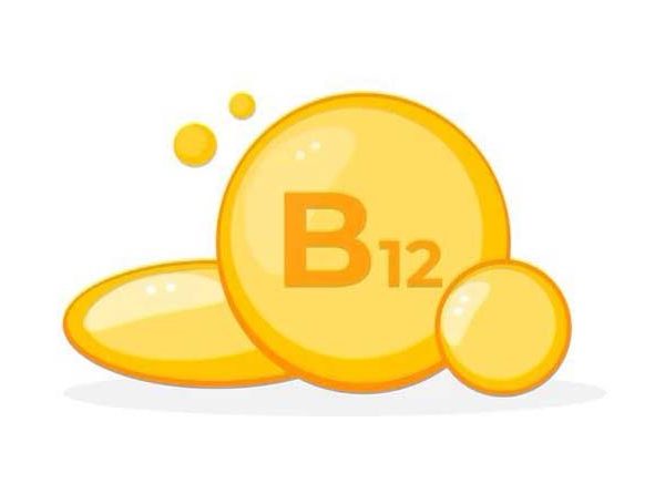 Benefits of Vitamin B12 Rich Foods and Their Importance