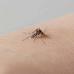 dengue-in-monsoon