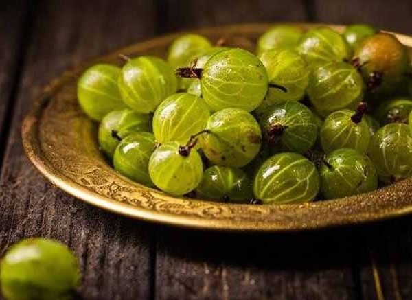 Gooseberry : Benefits, Uses and Nutritional Value