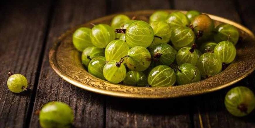 gooseberry