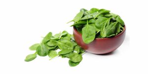 spinach-for-babies