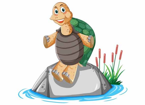 The Talkative Tortoise Story with Moral for Kids