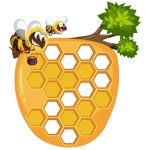 What-Is-a-Beehive-Understanding-Honey-BeesHomes