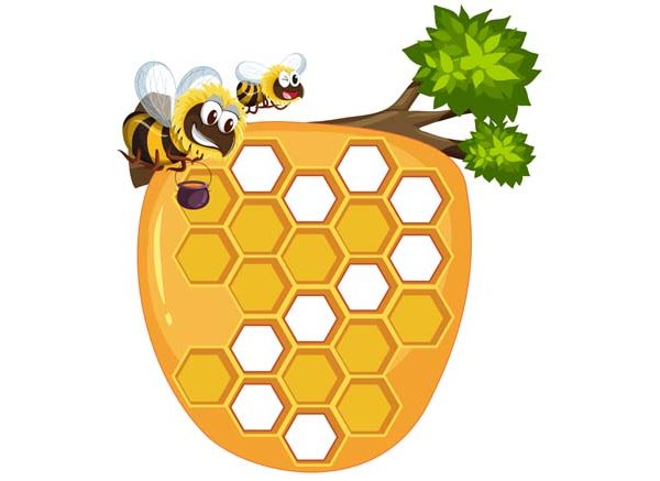 What-Is-a-Beehive-Understanding-Honey-BeesHomes
