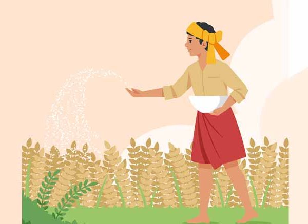 Farmers The Heroes Behind Every Meal