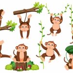 15 Interesting Facts About Monkeys