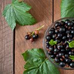Elderberry-for-Babies-and-Kid-A-Comprehensive-Safety-Guide