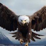 How Fast Can Eagles Fly Fun Speed Facts for Kids