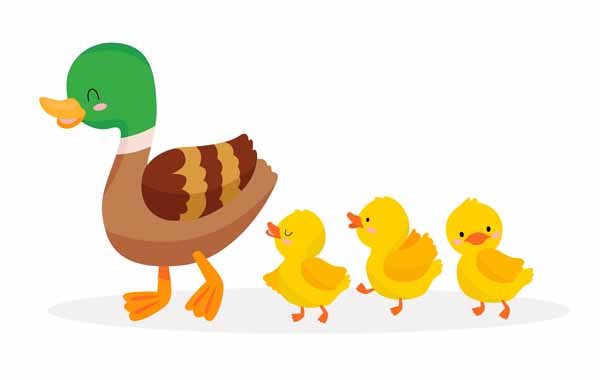 The Ugly Duckling