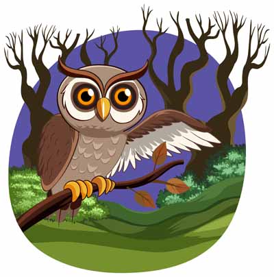 The Wise Old Owl