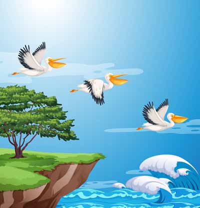 The Stork and The Crab