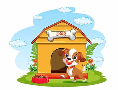 The Puppy and The Well