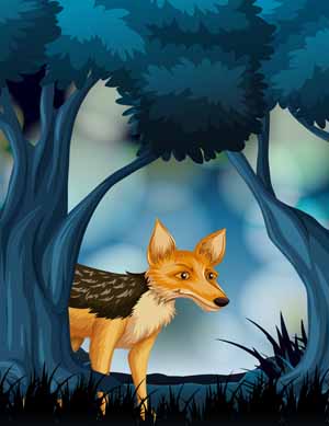 The Blue Jackal