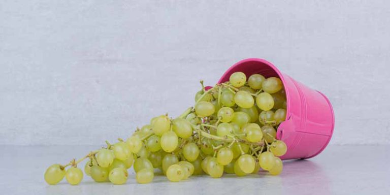 Grapes Benefits for Kids