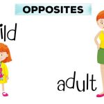 50+ easy Opposite Words for Class 1 With Easy Examples & Pictures