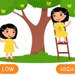 Antonyms List - 100+ Opposite Words In English For Class 1 Children