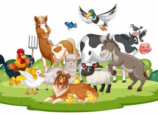 Domestic Animal Names in English for Kids with Uses and Examples