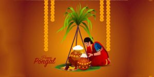 Essay on Pongal The Harvest Festival of Tamil Nadu