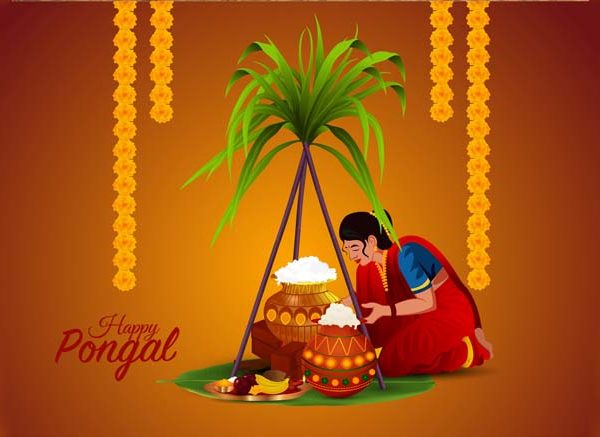 Essay on Pongal The Harvest Festival of Tamil Nadu
