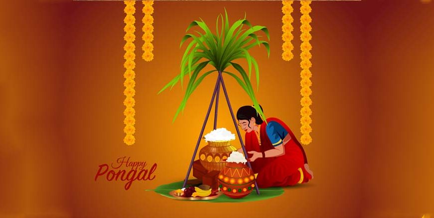 Essay on Pongal The Harvest Festival of Tamil Nadu