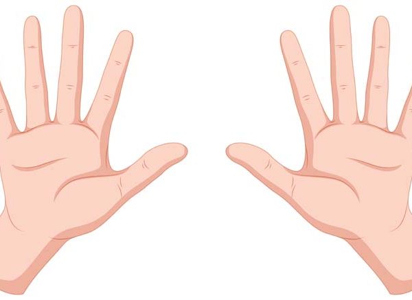 Parts of the Hand Names and Functions Explained for Kids