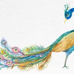 Peacock Essay for Children – 10 Lines, Facts & Short Writing