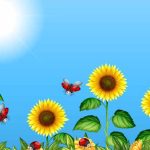 Sunflower Facts for Kids Learn About Parts, Growth and Uses