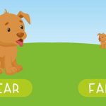 Teach Your Child About Adjectives - Types, Examples, & Activities