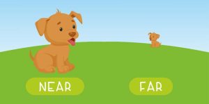 Teach Your Child About Adjectives - Types, Examples, & Activities